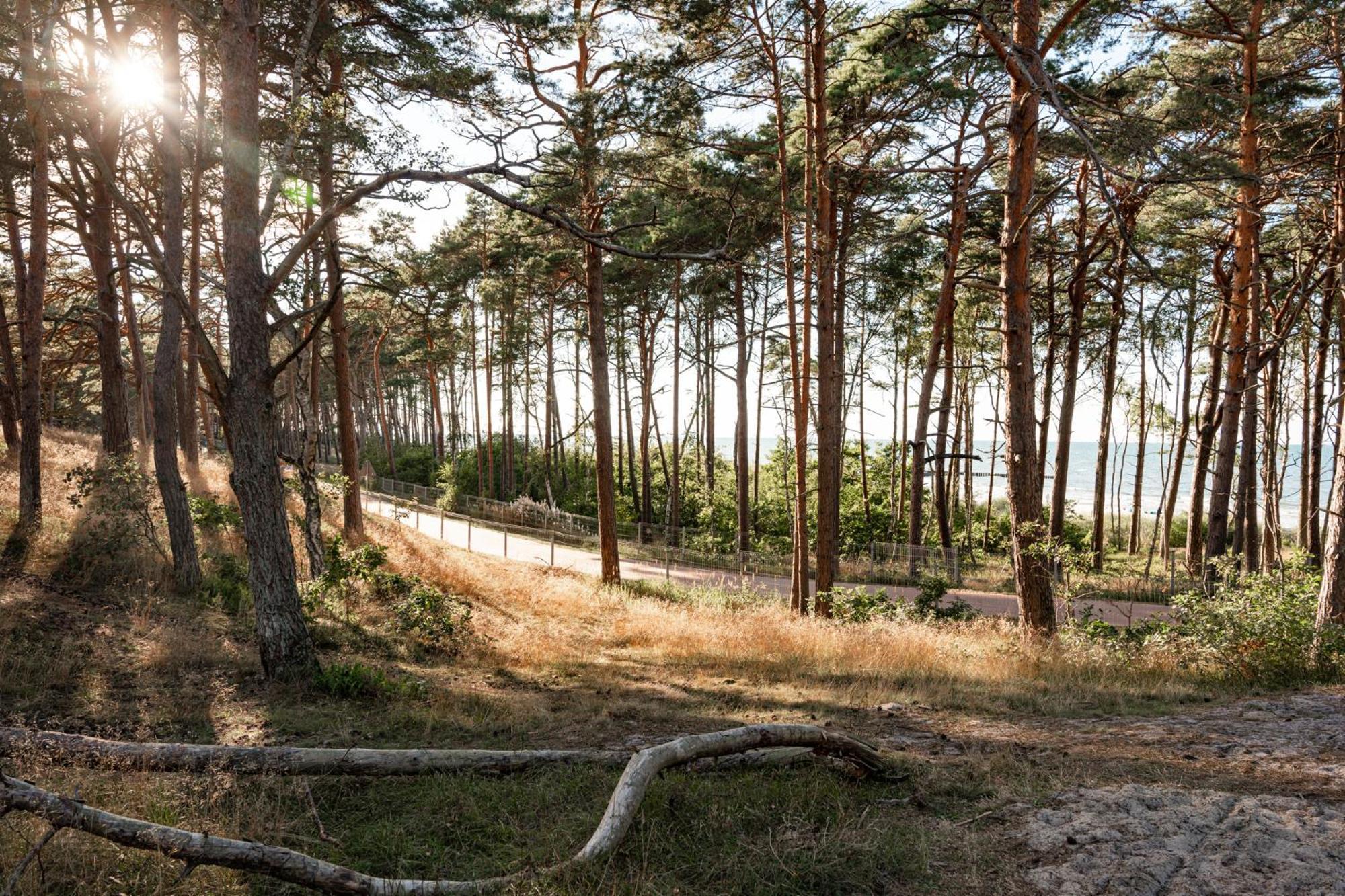 Neptuno Resort & Spa Дзвиржино Екстериор снимка